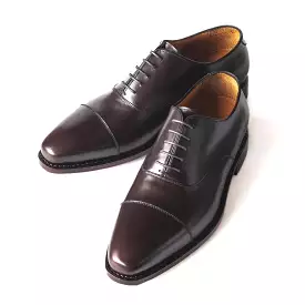 Men's Cap Toe Oxford / Dark Brown 98060