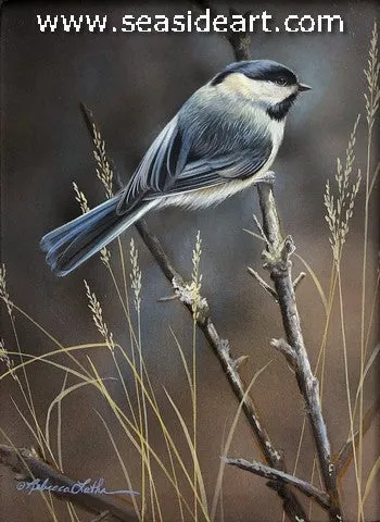 Season's Warmth (Chickadee)